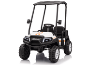 KINGTOYS.ca 4-Seater ,24V/4WD Kids Ride-On Golf Buggy with Remote Control