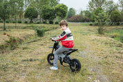 2026 36V Electric Dirt Bike For Teens 350W Powerful Silent Motor