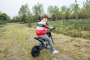 2026 36V Electric Dirt Bike For Teens 350W Powerful Silent Motor