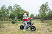 2026 36V Electric Dirt Bike For Teens 350W Powerful Silent Motor