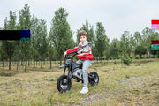 2026 36V Electric Dirt Bike For Teens 350W Powerful Silent Motor