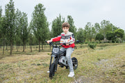 2026 36V Electric Dirt Bike For Teens 350W Powerful Silent Motor