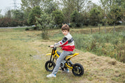 2026 36V Electric Dirt Bike For Teens with 350W Powerful Silent Motor