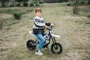 2026 36V Electric Dirt Bike For Teens 350W Powerful Silent Motor