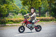 2026 36V Electric Dirt Bike For Teens 350W Powerful Silent Motor