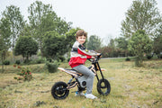 2026 36V Electric Dirt Bike For Teens 350W Powerful Silent Motor