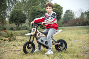 2026 36V Electric Dirt Bike For Teens 350W Powerful Silent Motor