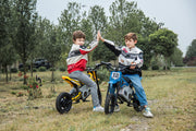2026 36V Electric Dirt Bike For Teens 350W Powerful Silent Motor