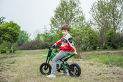 2026 36V Electric Dirt Bike For Teens 350W Powerful Silent Motor