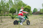 2026 36V Electric Dirt Bike For Teens 350W Powerful Silent Motor