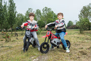 2026 36V Electric Dirt Bike For Teens with 350W Powerful Silent Motor